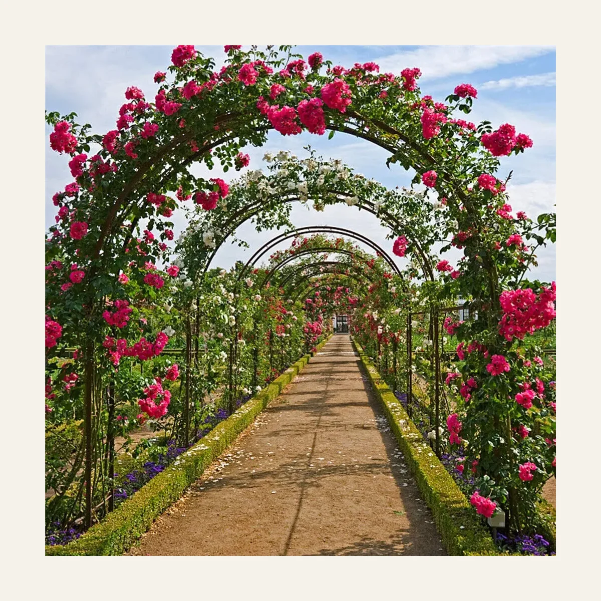 Heavy Duty Metal Garden Arch Rose Archway Pergola Arbour Climbing Plants Trellis Outdoor Garden Patio Pergola Support